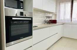 Duplex spatios, 180 mp utili, gradina, zona Europa