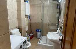 Duplex de vanzare , partial mobilat si utilat, 110 mp , 235 teren , Muzeul Apei 