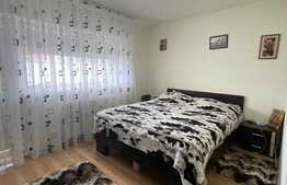 Duplex 110 mp, 235 teren, zona Muzeul Apei