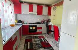 Duplex 110 mp, 235 teren, zona Muzeul Apei