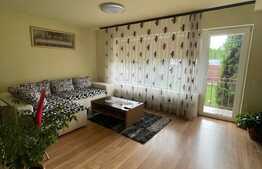 Duplex 110 mp, 235 teren, zona Muzeul Apei