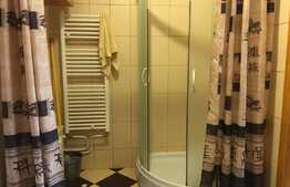 Garsoniera semidecomandata, zona CENTRALA, 21,75 mp utili