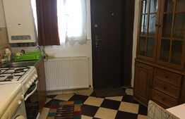 Garsoniera semidecomandata, zona CENTRALA, 21,75 mp utili