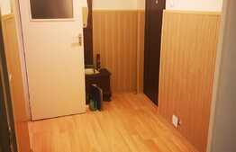 Apartament 2 camere, parter înalt, loc de parcare, zona Gemenii