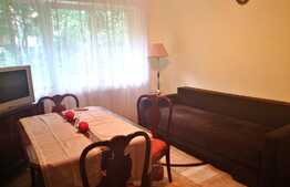 Apartament 2 camere, parter înalt, loc de parcare, zona Gemenii