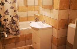 Apartament 2 camere, parter înalt, loc de parcare, zona Gemenii