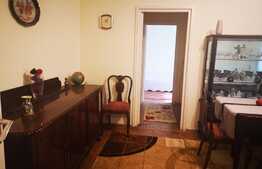 Apartament 2 camere, parter înalt, loc de parcare, zona Gemenii