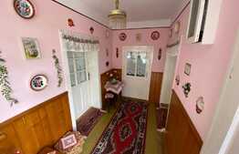 Casa Traditionala 325 MP Utili, 1388 MP Teren, Exterior Sud