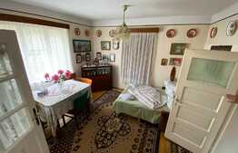 Casa Traditionala 325 MP Utili, 1388 MP Teren, Exterior Sud