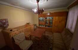 Casa Traditionala 325 MP Utili, 1388 MP Teren, Exterior Sud