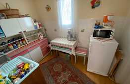 Casa Traditionala 325 MP Utili, 1388 MP Teren, Exterior Sud