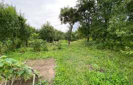 Casa Traditionala 325 MP Utili, 1388 MP Teren, Exterior Sud