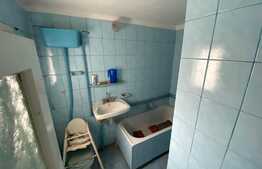 Casa Traditionala 325 MP Utili, 1388 MP Teren, Exterior Sud