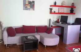 2 camere, 55 mp, balcon, zona Muzeul Apei, loc parcare inclus, mobilat!