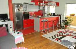 2 camere, 55 mp, balcon, zona Muzeul Apei, loc parcare inclus, mobilat!