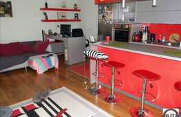 2 camere, 55 mp, balcon, zona Muzeul Apei, loc parcare inclus, mobilat!