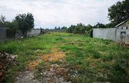 Casa in Bod, cu teren de 2041mp