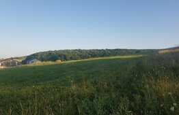 Oportunitate! Teren intravilan, 3660 mp, 30 ml front, Chinteni