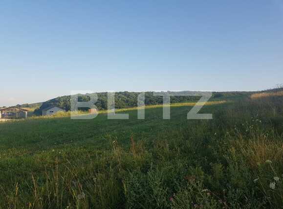 Teren de vânzare Exterior Nord - 69465TV | BLITZ Cluj-Napoca | Poza1