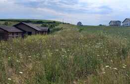 Teren intravilan in Dezmir 1260mp, front 12,5 ml