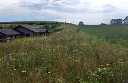 Teren intravilan in Dezmir 1260mp, front 12,5 ml