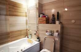 Apartament 3 camere, etaj intermediar, zona strazii Dambovitei!