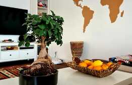 OFERTA! Casă deosebită cu finisaje de lux, teren 400mp, Sânpetru