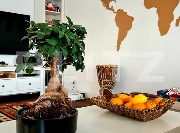 Casa de vânzare 4 camere Sanpetru - 69486CV | BLITZ Brașov | Poza9