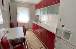 Apartament de 3 camere, spatios, renovat,cu balcon inchis si 2 bai, Triaj