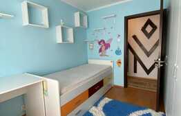 Apartament de 3 camere, spatios, renovat,cu balcon inchis si 2 bai, Triaj