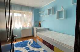 Apartament de 3 camere, spatios, renovat,cu balcon inchis si 2 bai, Triaj