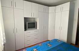 Apartament de 3 camere, spatios, renovat,cu balcon inchis si 2 bai, Triaj