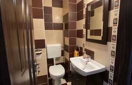 Apartament de 3 camere, spatios, renovat,cu balcon inchis si 2 bai, Triaj