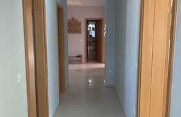 Apartament 3 cam, 110mp, terasa 64mp, pet friendly, Avantgarden Bartolomeu