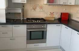 Apartament 3 cam, 110mp, terasa 64mp, pet friendly, Avantgarden Bartolomeu
