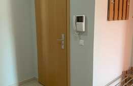 Apartament 3 cam, 110mp, terasa 64mp, pet friendly, Avantgarden Bartolomeu