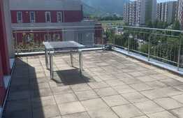 Apartament 3 cam, 110mp, terasa 64mp, pet friendly, Avantgarden Bartolomeu