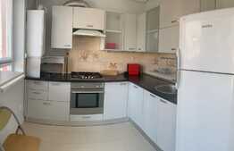 Apartament 3 cam, 110mp, terasa 64mp, pet friendly, Avantgarden Bartolomeu