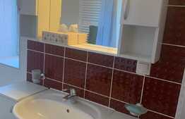 Apartament 3 cam, 110mp, terasa 64mp, pet friendly, Avantgarden Bartolomeu