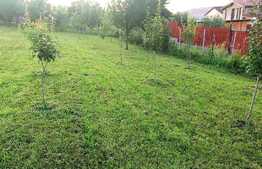 Teren intravilann 970mp,in Chinteni cu panorama deosebita