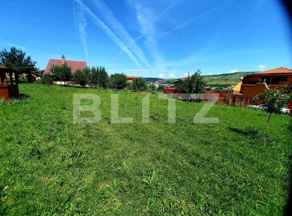 Teren de vânzare Chinteni - 69512TV | BLITZ Cluj-Napoca | Poza3