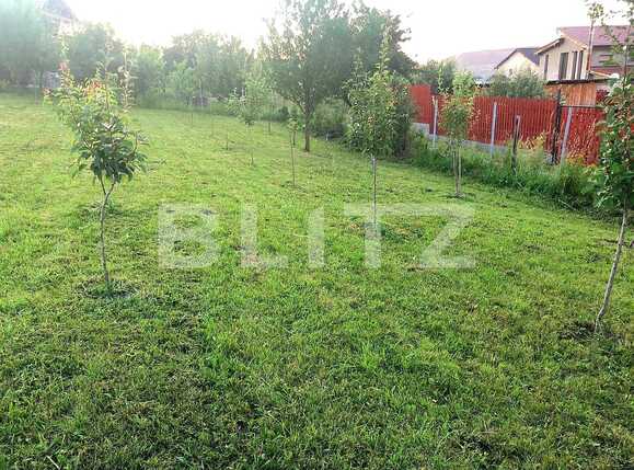 Teren de vânzare Chinteni - 69512TV | BLITZ Cluj-Napoca | Poza7