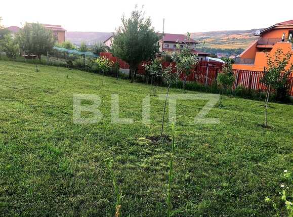 Teren de vânzare Chinteni - 69512TV | BLITZ Cluj-Napoca | Poza8