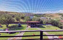 Casa superba 300 mp utili cu 2000 mp curte si 4287 mp livada, comuna Baciu!