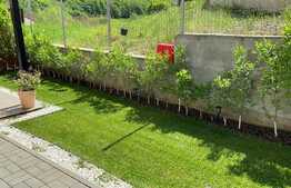 Exclusiv ! Duplex la CHEIE de vanzare , 243 mp teren, 118 mp , complex de case, zona Fagului ! 