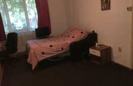 Apartament 2 camere decomandate, la parter,  in apropiere de Iulius Mall