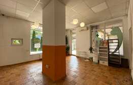 Spatiu comercial, 70 mp, zona Platinia Mall