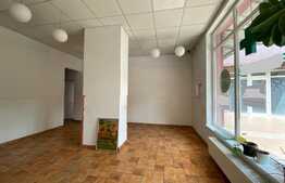 Spatiu comercial, 70 mp, zona Platinia Mall