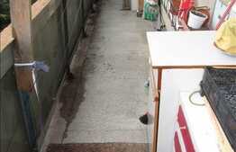 2 camere, 48 mp, etaj intermediar, zona strazii Herculane