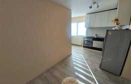 Apartament 2 camere in vila cu piscina!